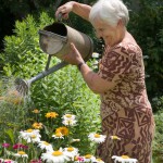 Wer entscheidet für ältere Menschen? Rechte, Verantwortung und gesetzliche Regelungen im Überblick