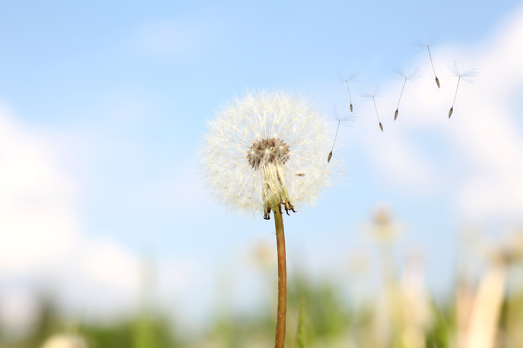 Alterung der Bevölkerung in der Schweiz: Eine tiefgehende Analyse eines zentralen gesellschaftlichen Wandels